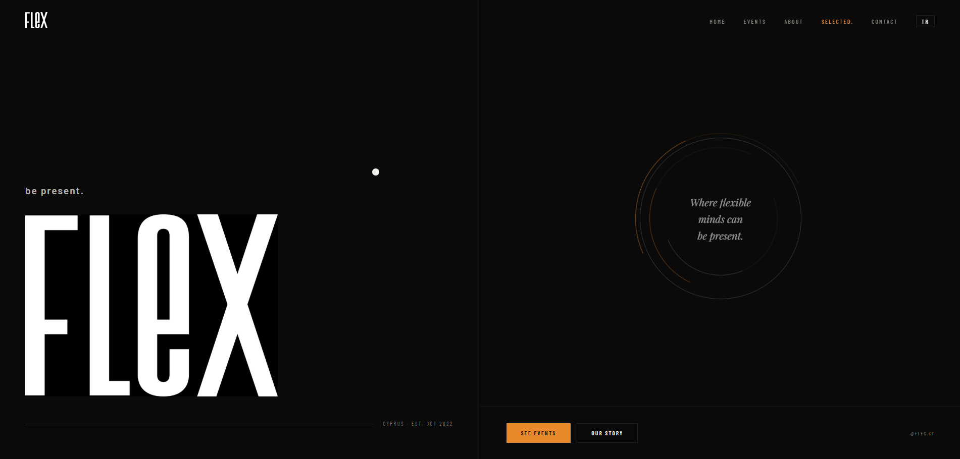 FLEX Cyprus website screenshot